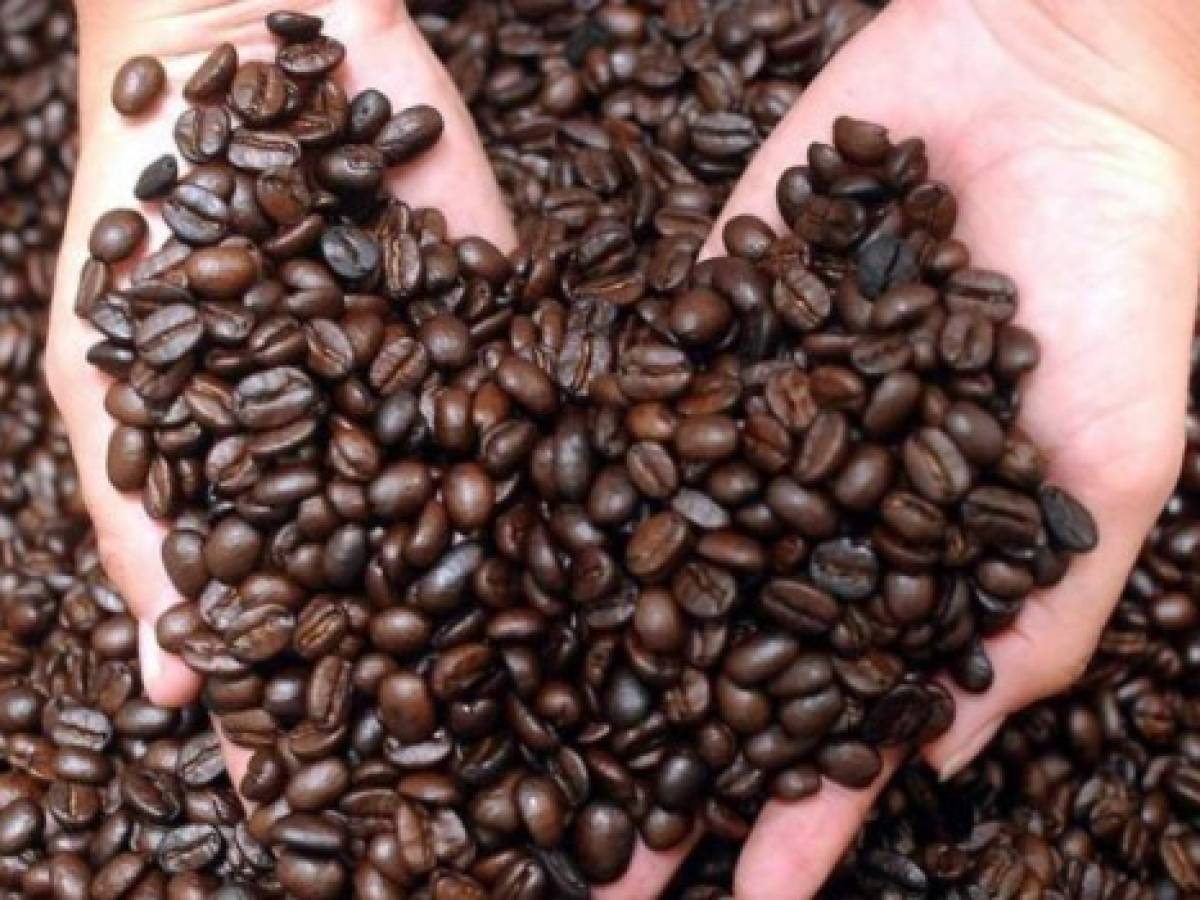 Honduras: Aumento del 35% en el precio del café permite rentabilidad en fincas