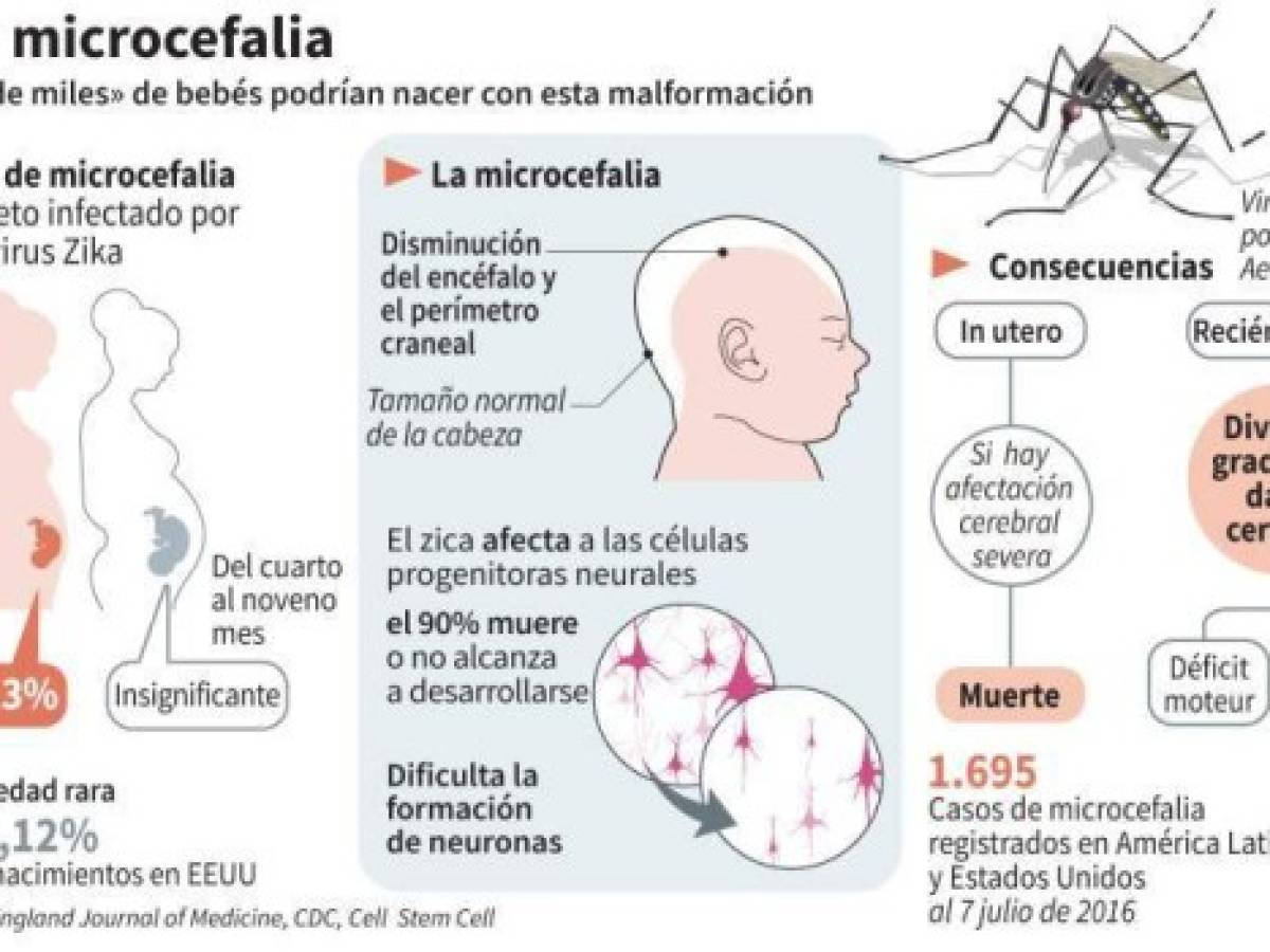 Foto: Estrategia y Negocios