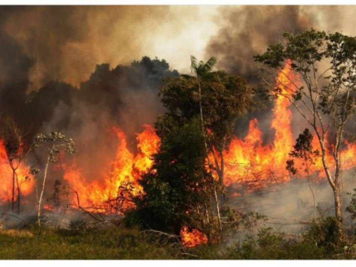 Una foto tomada a nivel del suelo (A) en la que las llamas consumen los árboles sí fue tomada en la selva amazónica... pero el 22 de noviembre de 2014.