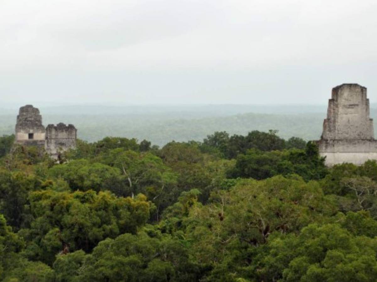 Esperar el amanecer desde el templo IV en el Parque Nacional Tikal, Guatemala.