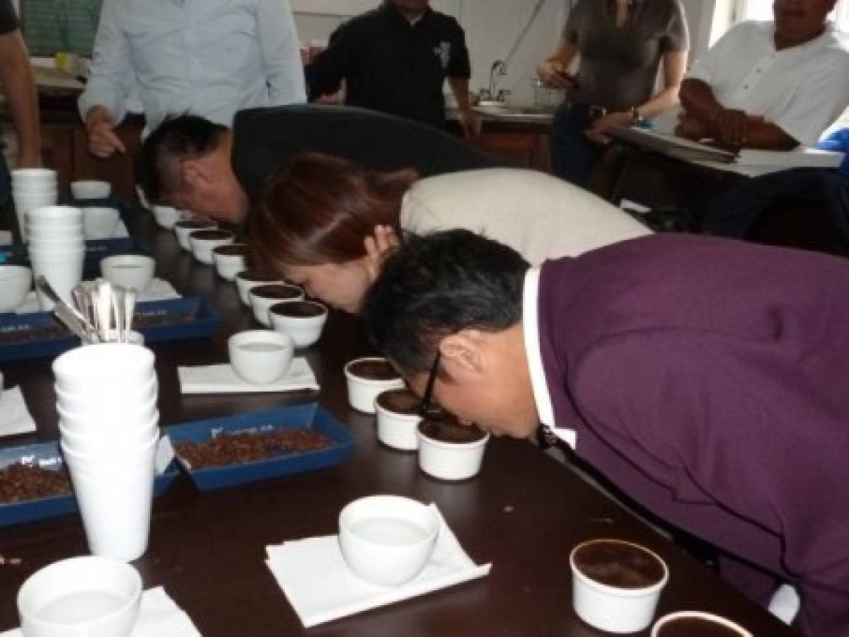 Taiwaneses buscan café tipo gourmet en Guatemala