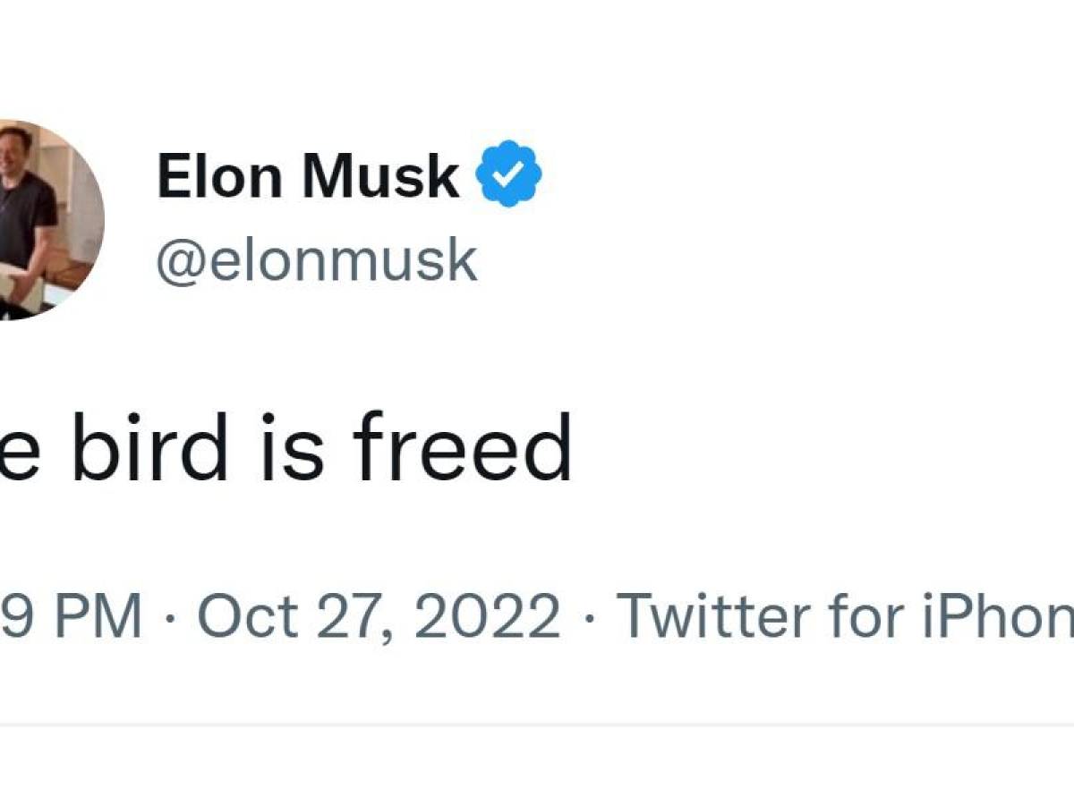 Tuiteros ya ponen a prueba los límites de la red en la era Musk