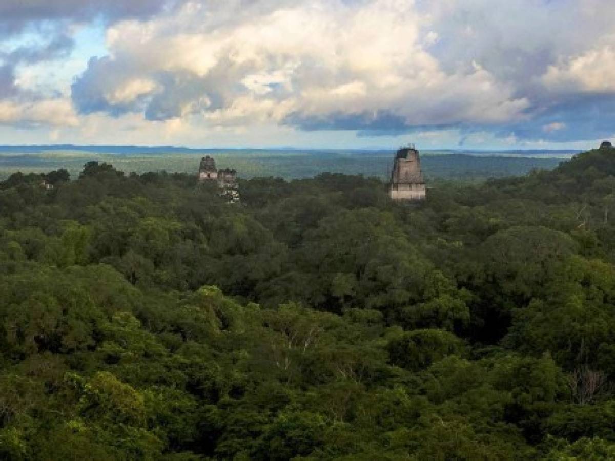 Guatemala cuenta con 700.000 bonos de carbono listos para comercializarse