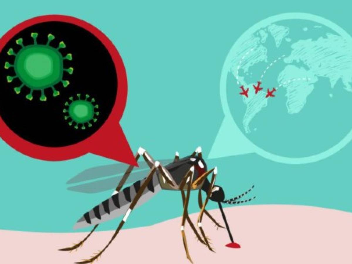 La vacuna contra el zika necesitará entre dos y tres años de pruebas