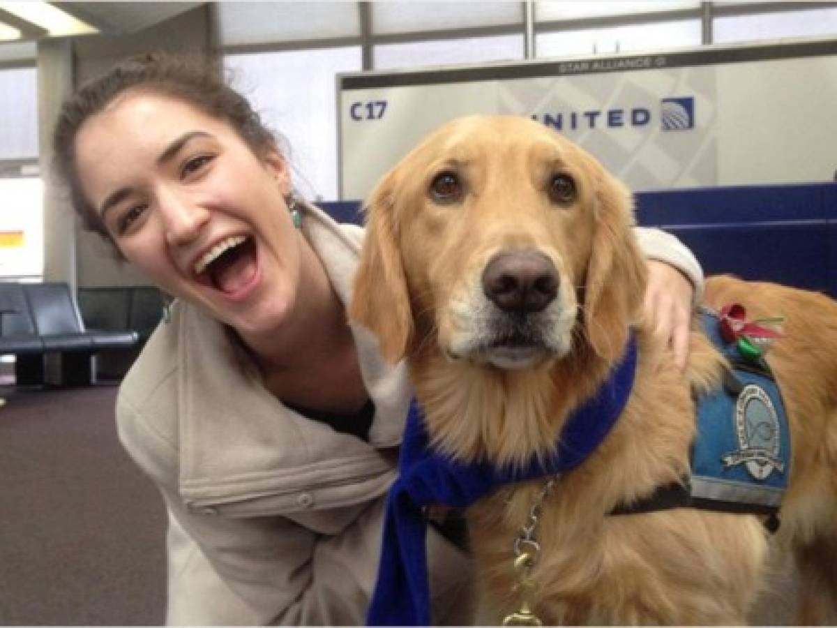 United Airlines prohibe diversas razas de perros tras muertes de mascotas en aeronaves