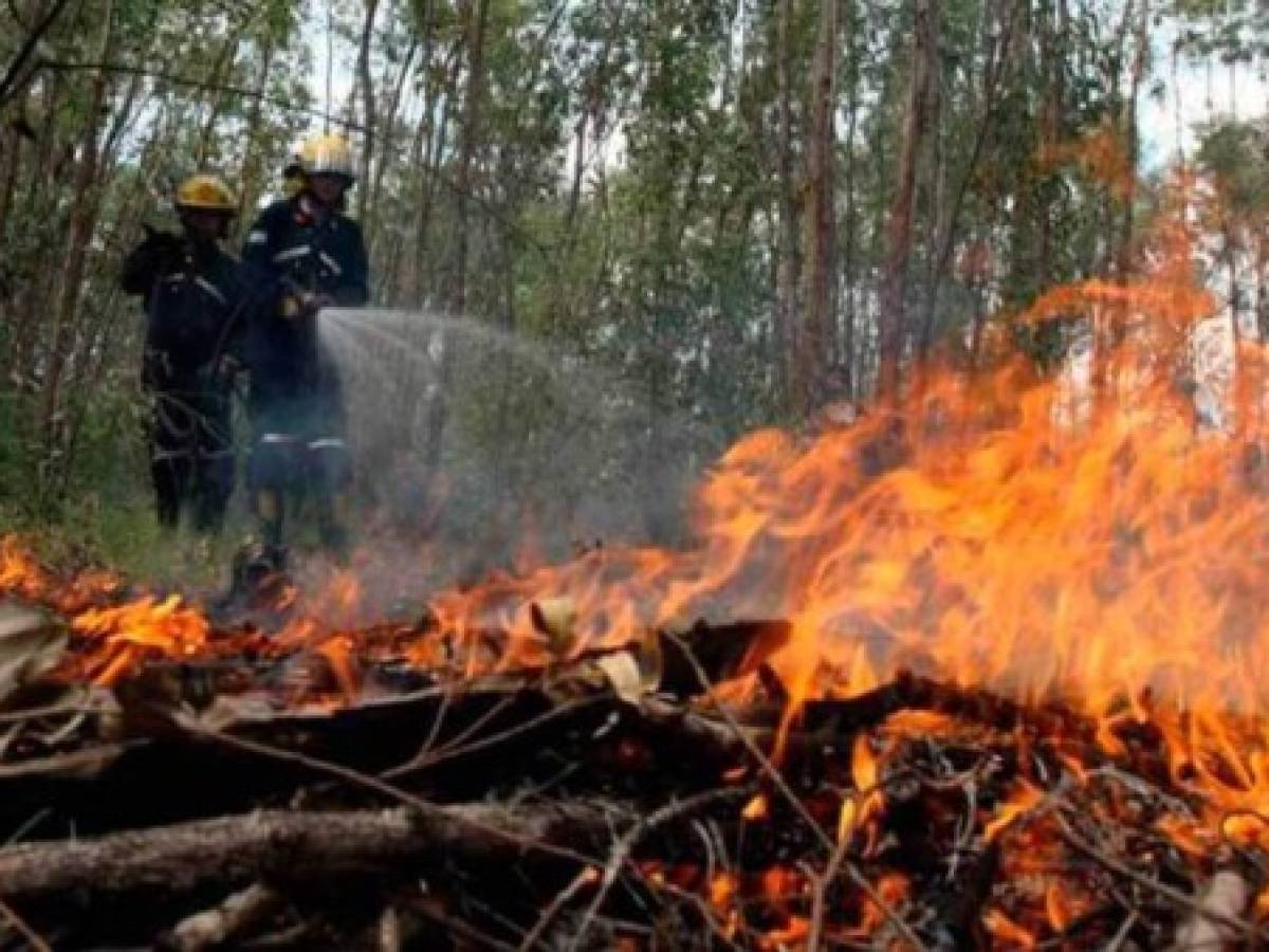 Guatemala: Incendios forestales no dan tregua a la Biosfera Maya