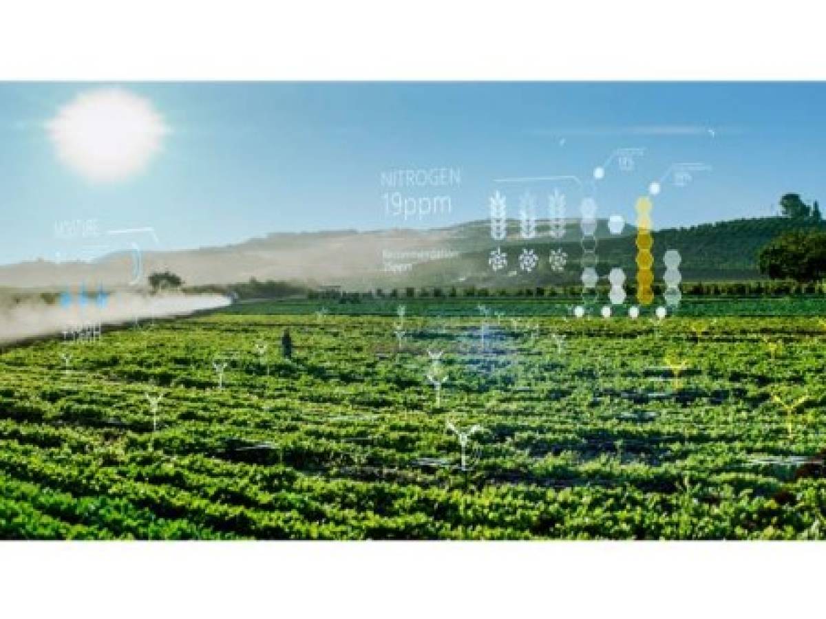 Photography depicts Microsoft's FarmBeats technology uses AI and IoT to help increase farm productivity.