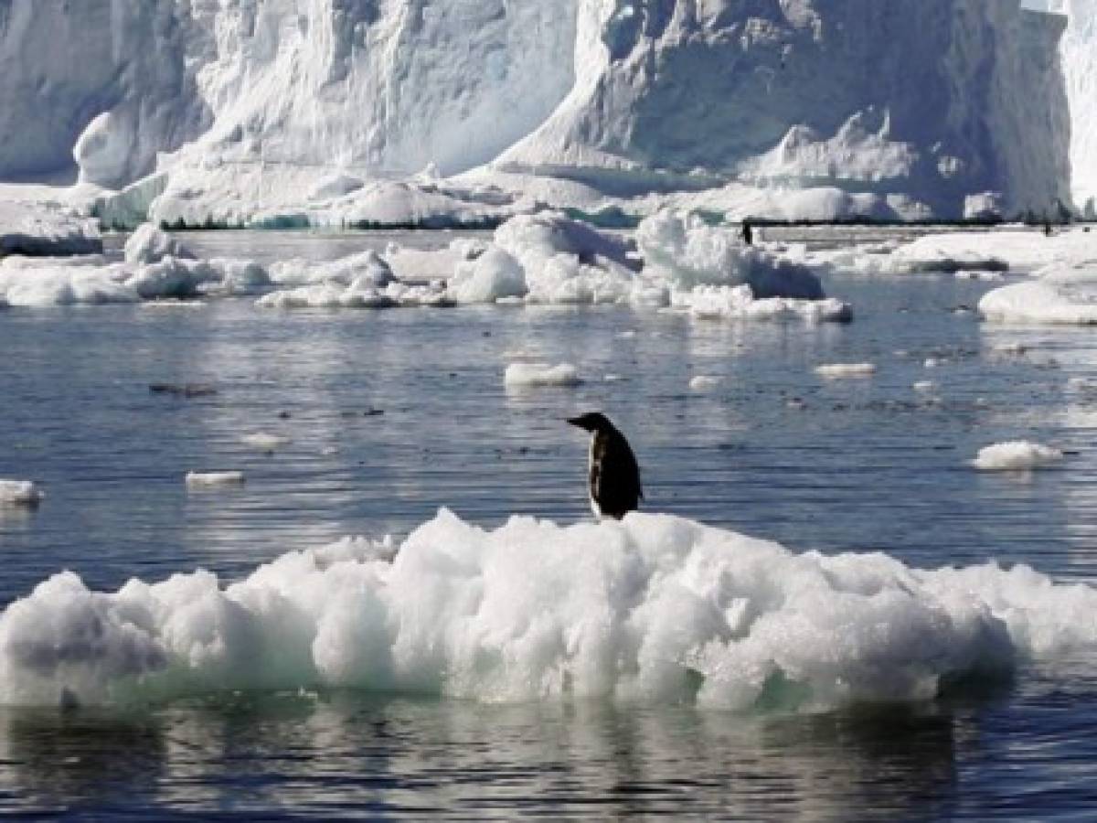 Calentamiento de un grado podría alterar el ecosistema antártico
