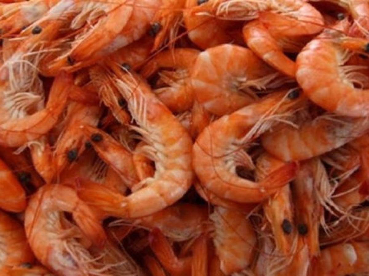 Panamá comercializa 44.000 libras de alimento para camarón a Costa Rica