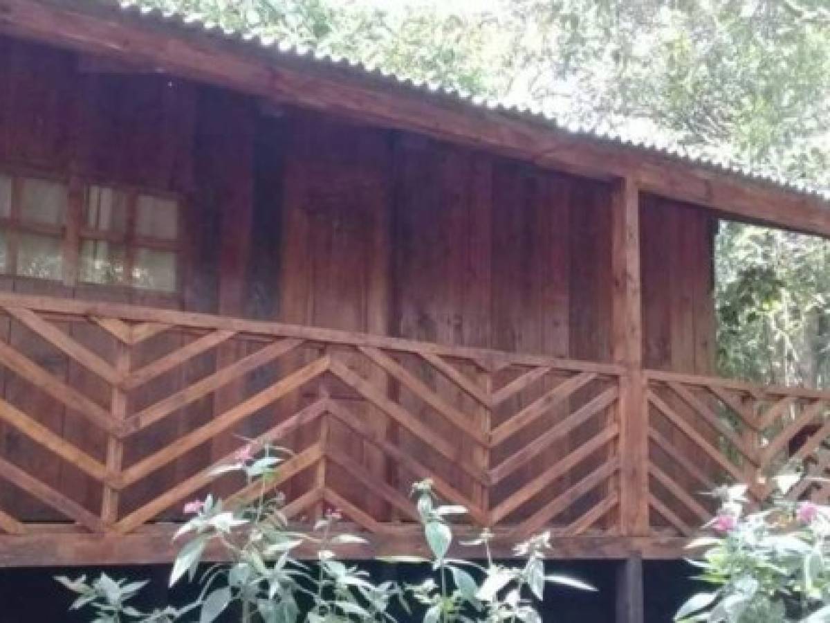 Las montañas de la región de Estelí conocieron la guerra durante la insurrección sandinista que en 1979 derrocó al dictador Anastasio Somoza y, posteriormente, cuando el conflicto de la 'contra” en los años '80. Aunque Tisey no fue afectada directamente por la confrontación bélica, otro de los hermanos Cerrato, Nicolás, murió a causa de un enfrentamiento armado en 1986, según relatan sus familiares. Las montañas de la región de Estelí conocieron la guerra durante la insurrección sandinista que en 1979 derrocó al dictador Anastasio Somoza y, posteriormente, cuando el conflicto de la 'contra” en los años '80. Aunque Tisey no fue afectada directamente por la confrontación bélica, otro de los hermanos Cerrato, Nicolás, murió a causa de un enfrentamiento armado en 1986, según relatan sus familiares.