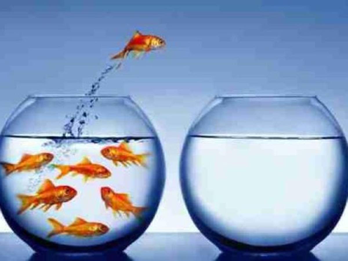 Foto: Estrategia y Negocios Foto: Estrategia y Negocios