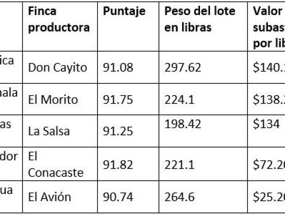 Costa Rica lidera como el café Taza de Excelencia mejor cotizado de Centroamérica