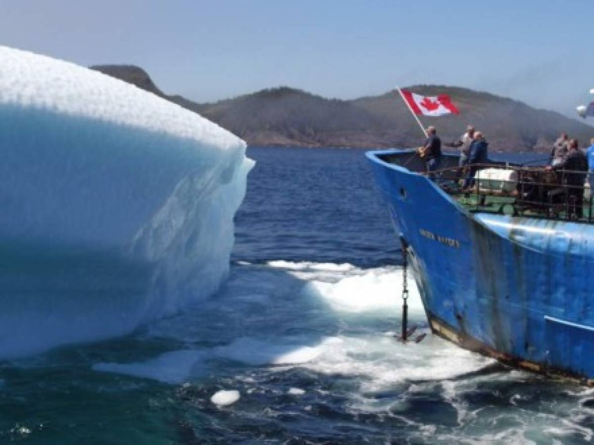 Los cazadores de icebergs viven tiempos de abundancia en Canadá