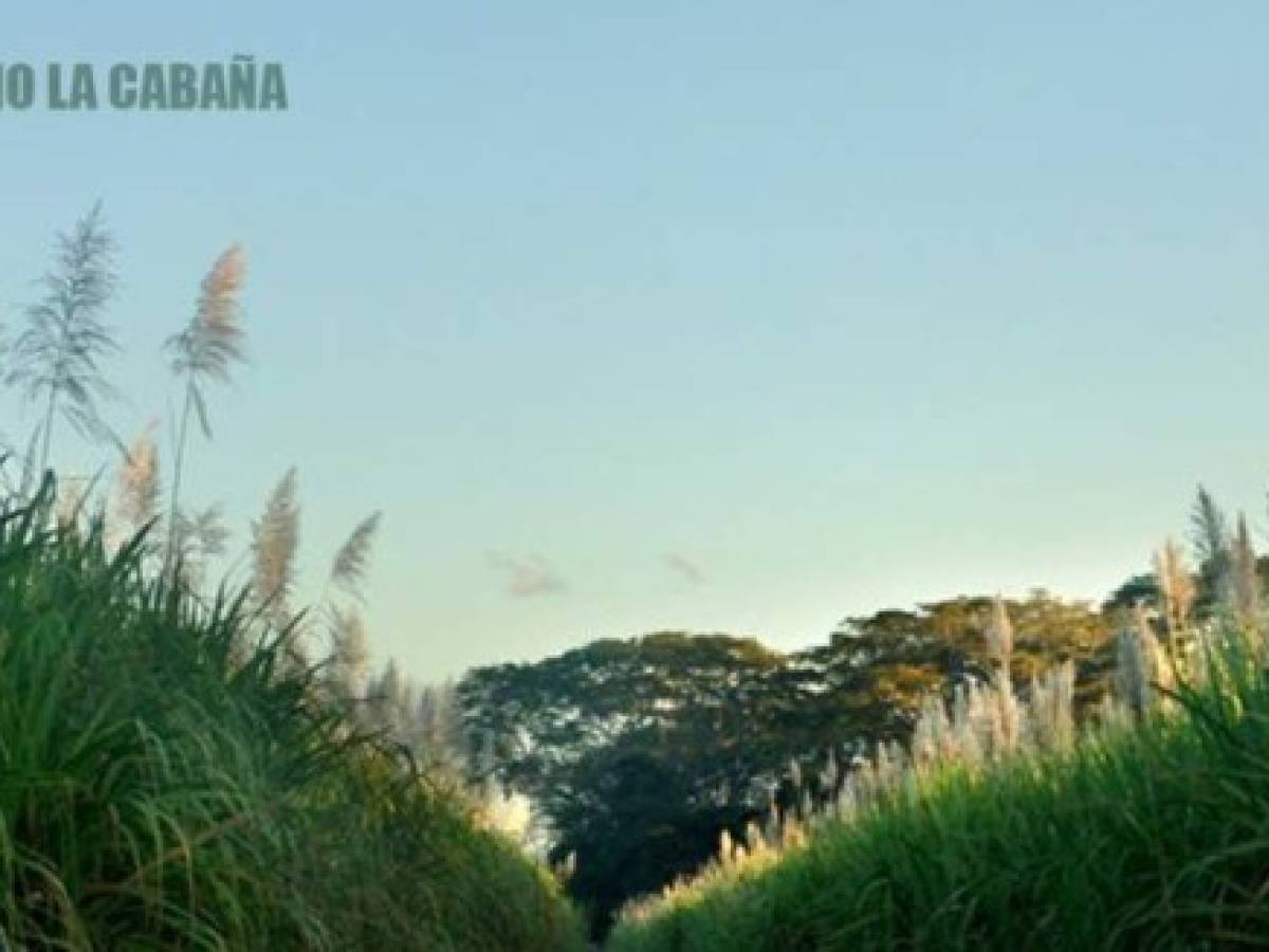 Ingenio La Cabaña inició como una molienda familiar, que formaba parte de Hacienda La Cabaña. Esta empresa está por llegar a su centenario. Foto Transparencia web