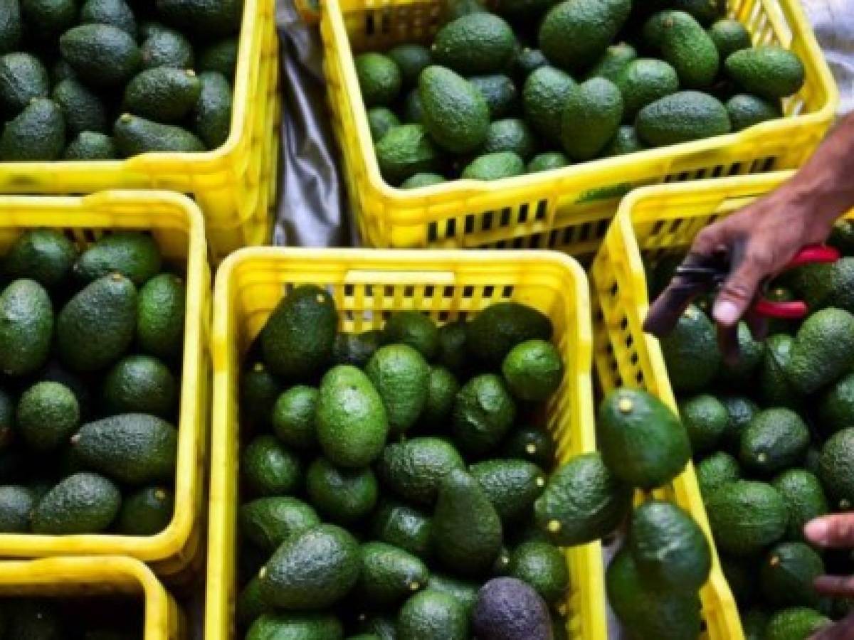 Perú trabaja en concretar exportaciones de frutas y vegetales hacia Centroamérica