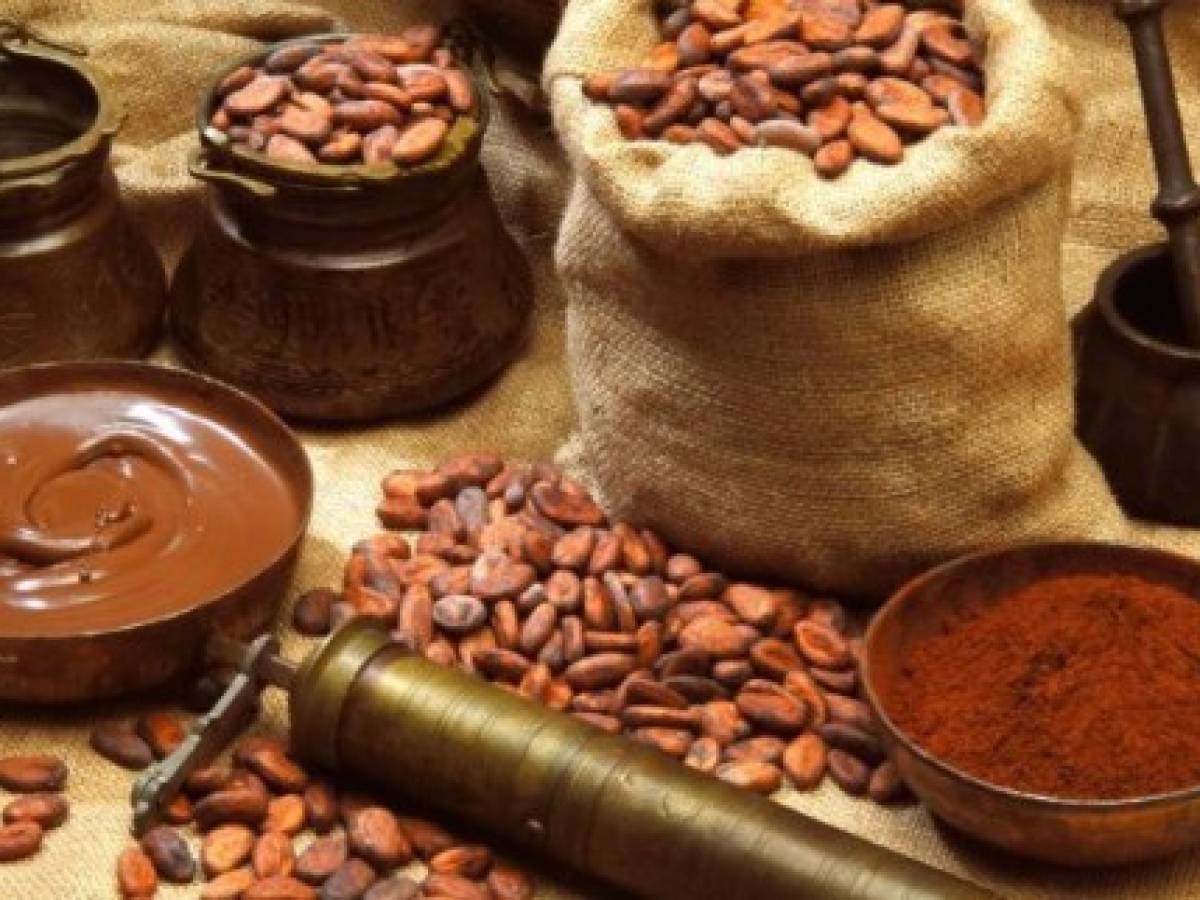 Buscan convertir cacao en chocolate desde Guatemala
