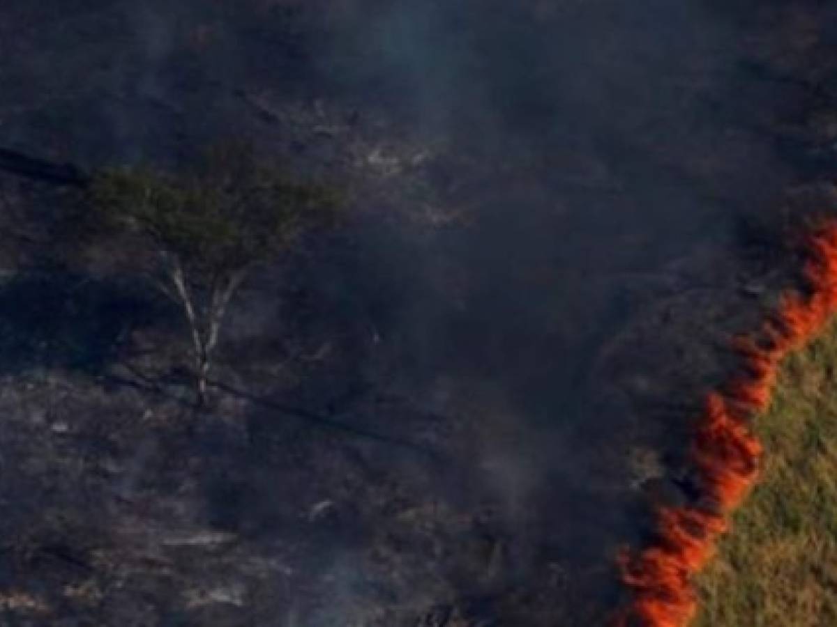 Una imagen en la que se ve un bosque totalmente quemado salvo por un árbol sí es de la Amazonia. Pero fue tomada el 4 de agosto de 2017.