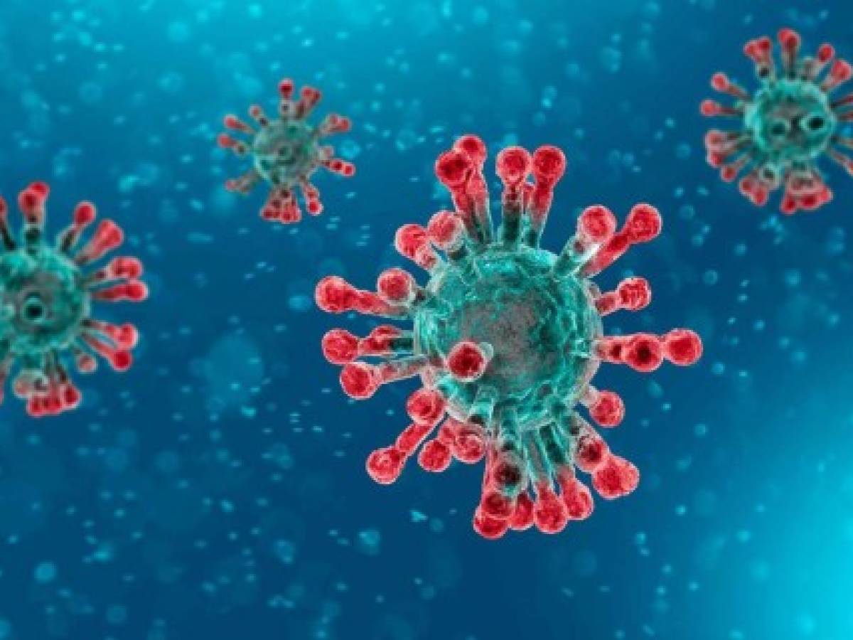 El coronavirus sobrevive en la piel cinco veces más que la gripe