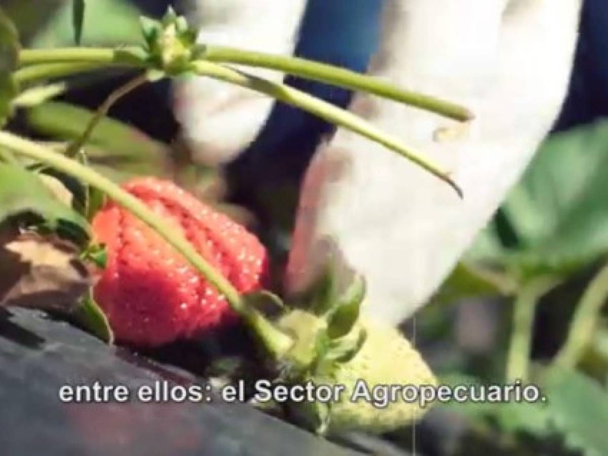 Costa Rica realiza el primer evento AgrODS