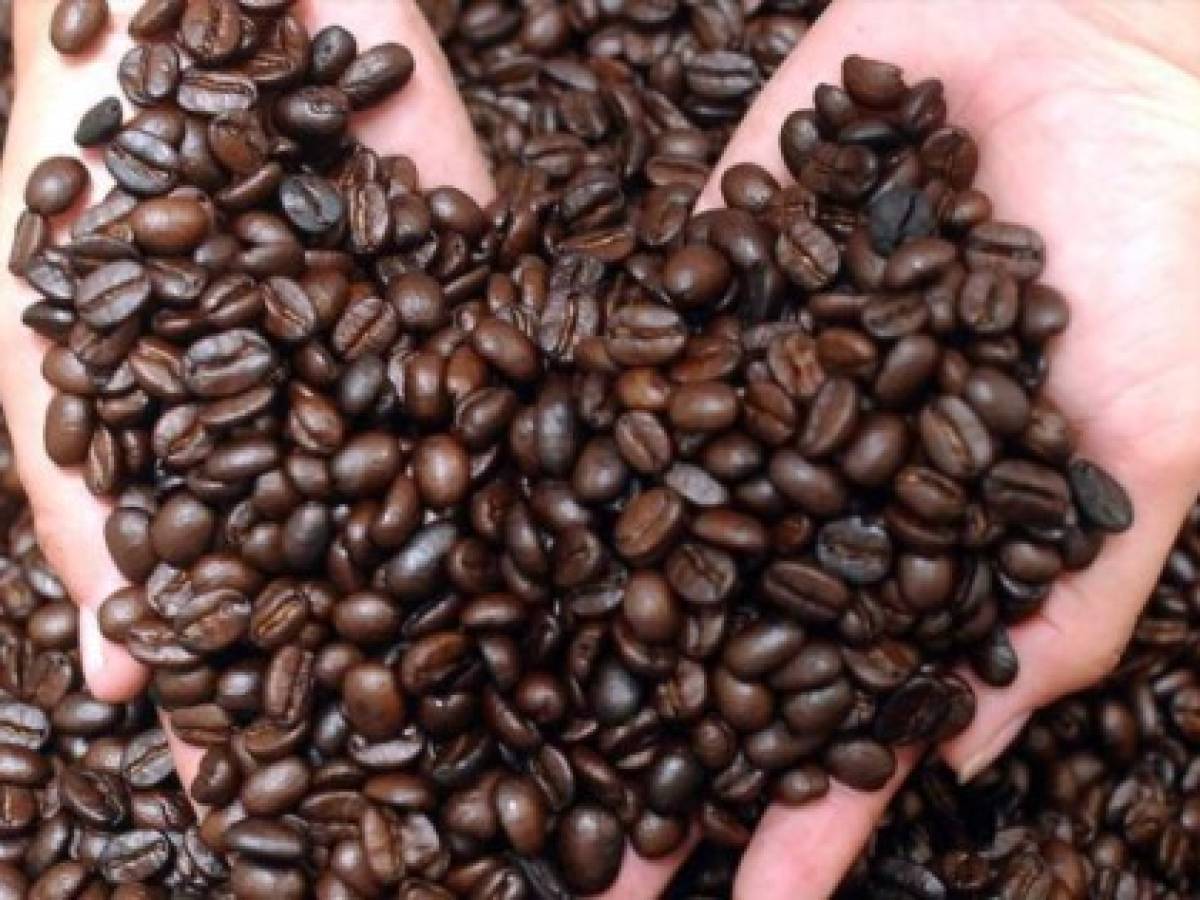 El Salvador y Honduras elegidos por Nestlé para inversión de US$150 millones en café