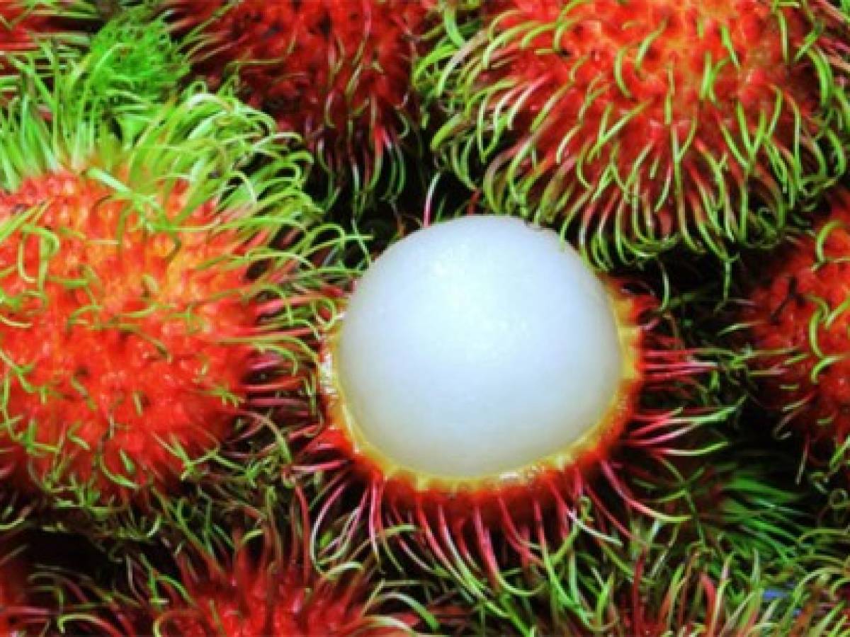 Mercado étnico de Canadá abre oportunidades para frutas exóticas de Costa Rica