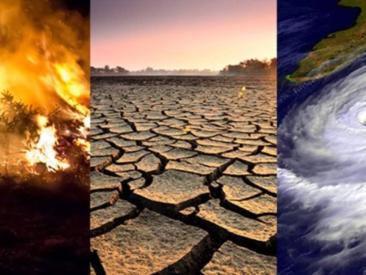 Opinión: La impostergable crisis del cambio climático