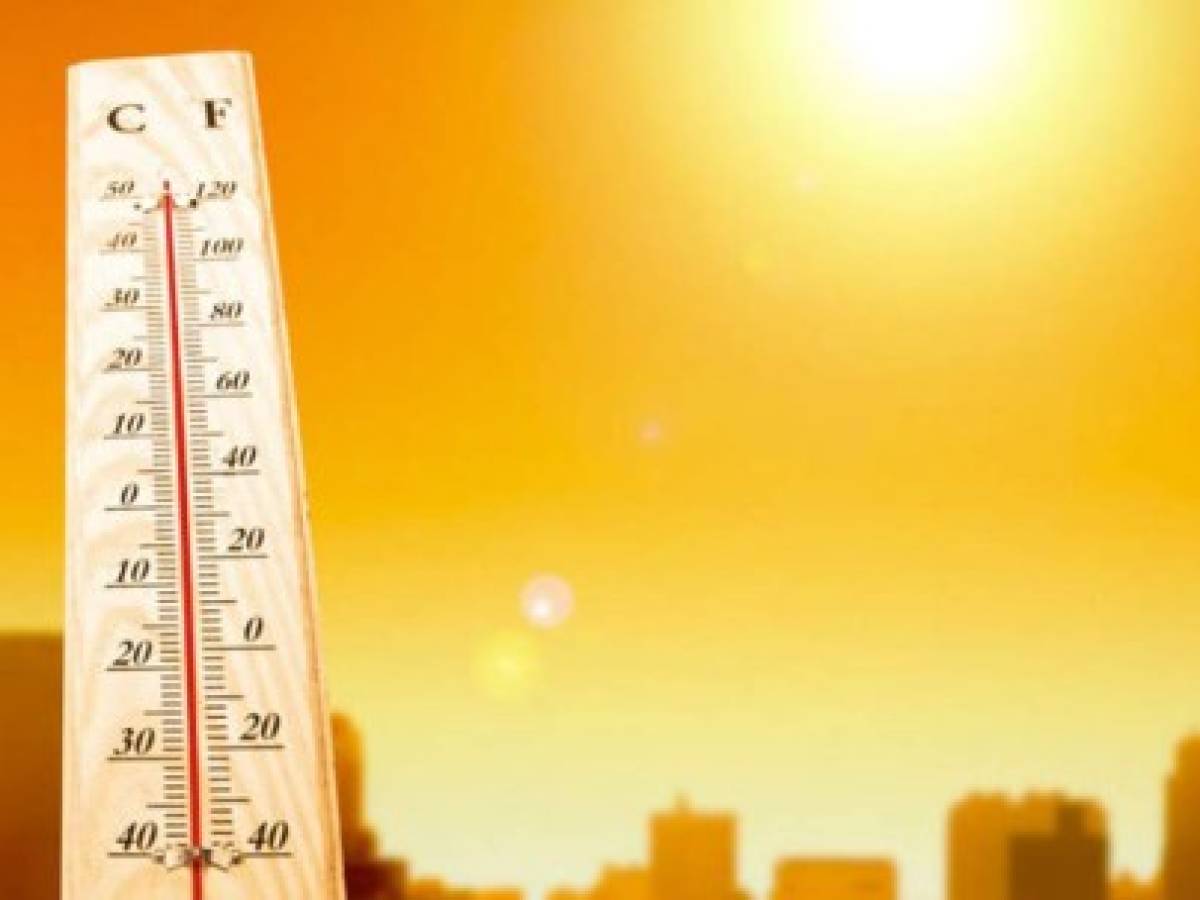 Noviembre 2019, el segundo noviembre más cálido en 140 años