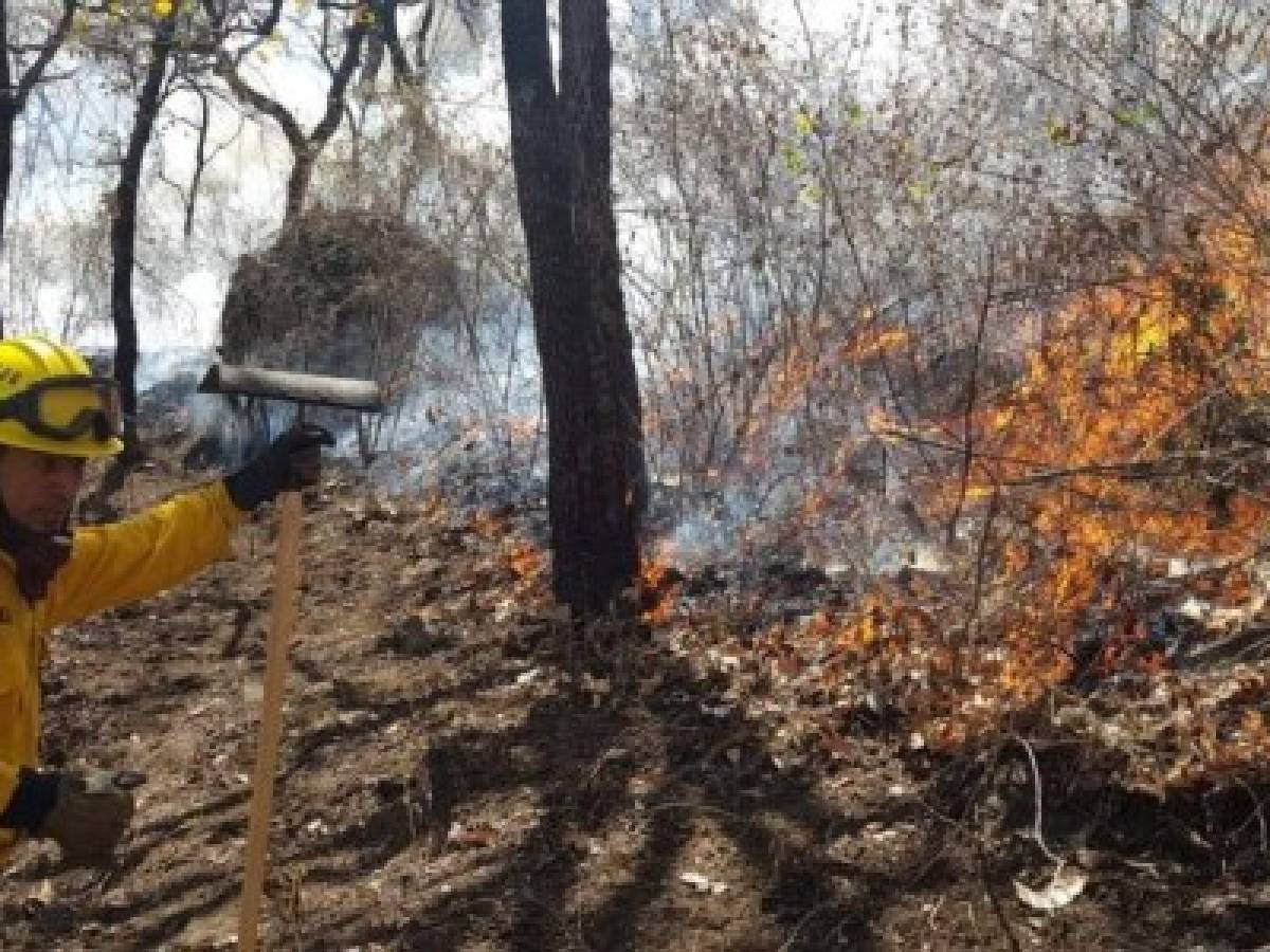 Incendios queman más de 47.000 hectáreas de bosque en Guatemala