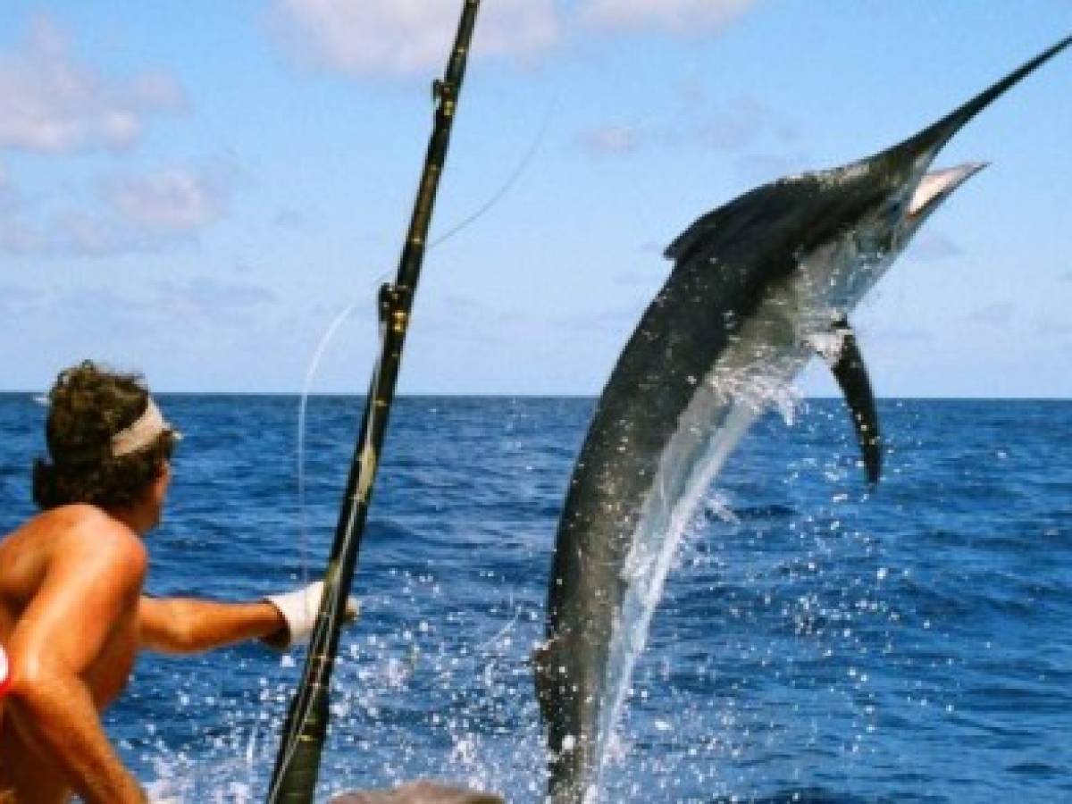 Pesca deportiva en Panamá aún sin regulación