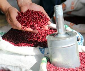 Nicaragua autoriza la 'importación por desabastecimiento de 20.000 toneladas métricas de frijol rojo' entre junio y septiembre de 2014.