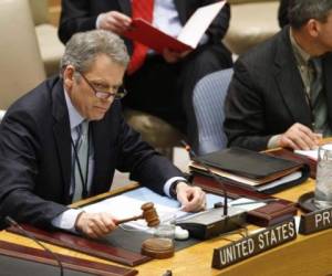 En la actualidad, DeLaurentis se desempeña como Representante Alterno de Estados Unidos para Asuntos Políticos ante la ONU, en Nueva York. (Foto: Naciones Unidas).