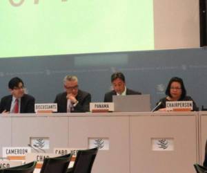 El ministro de Comercio e Industrias de Panamá, Melitón Arrocha durante su presentación en Ginebra. (Foto: cortesía Ministerio de Comercio e Industrias)