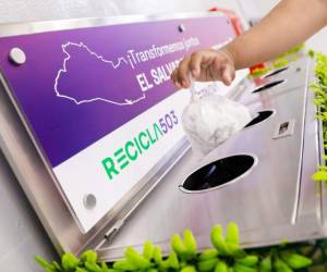 Desde 2019, Ternova impulsa la iniciativa Recicla503. Foto: E&amp;N