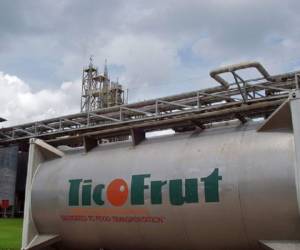 La totalidad de la producción de TicoFrut se exporta a los Estados Unidos, la Unión Europea, Asia y ocasionalmente a África.
