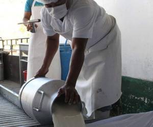 Representantes de la industria láctea nicaragüense aducen temor de Honduras por la mejora de la industria láctea del país.