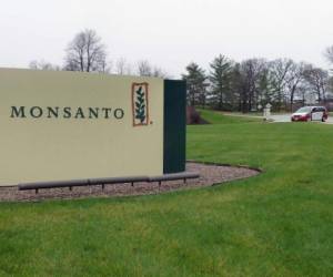 Ante el rechazo de Syngenta, 'Monsanto continuará concentrándose en sus oportunidades de crecimiento sobre la base de sus propias actividades para aportar a la agricultura nuevas innovaciones'.