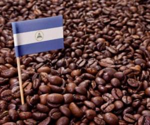 The flag of Nicaragua sticking in roasted coffee beans.(series)