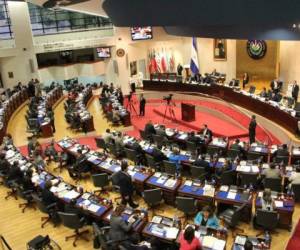 Los 44 votos a favor fueron 31 del oficialista FMLN, 10 de la derecha moderada GANA y 3 legisladores de otros partidos minoritarios. Los opositores Arena, PCN y PDC se retiraron de la sesión alegando que las reformas no habían sido discutidas lo suficiente.