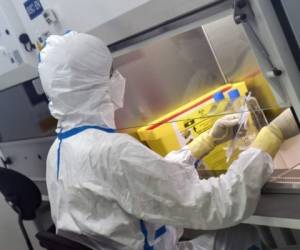 French engineer-virologist Thomas Mollet divides a 40ml flask, infected with a Sars-CoV-2 virus, under a laminar flow at the Biosafety level 3 laboratory (BSL3) of the Valneva SE Group headquarters in Saint-Herblain, near Nantes, western France, on July 30, 2020. - Could the Covid-19 vaccine be found by a biotechnology company in western France, far from major global research centers? The hypothesis is more than plausible for the British government, which has just signed an important agreement with it. (Photo by JEAN-FRANCOIS MONIER / AFP)