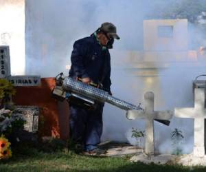Los países centroamericanos ya han comenzado intensas campañas de fumigación para eliminar posibles criaderos del mosquito Aedes aegypti, transmisor del virus. En la imagen, fumigación en Honduras. (Foto: AFP).