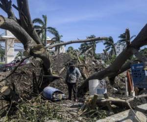 A man attempts to remove fallen trees after the passage of Hurricane Delta in Cancun, Quintana Roo state, Mexico, on October 8, 2020. - Hurricane Delta regained strength as it headed towards the United States early Thursday after lashing Mexico's Caribbean coast, where some tourists complained about conditions in crowded emergency shelters during a pandemic. (Photo by PEDRO PARDO / AFP)