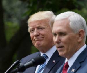 US Vice President Mike Pence (R) speaks while standing next to US President Donald Trump during a ceremony before the signing of an Executive Order on Promoting Free Speech and Religious Liberty in the Rose Garden of the White House on May 4, 2017 in WashingtoTrump issued an executive order on Thursday making it easier for churches and religious groups to take part in politics without risk of losing their tax-exempt status, a senior White House official said. / AFP PHOTO / Mandel NGAN
