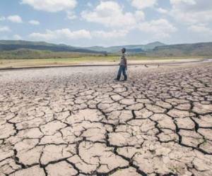 108 municipios nicaragüenses padecieron sequía en 2014, afectando la producción de granos básicos y ganadería. (Foto: elnuevodiario.com.ni).