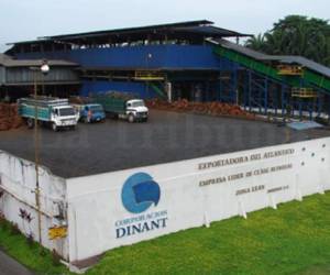 Instalaciones de la empresa Dinant, una de las mayores productoras de aceite de palma de Centroamérica. (Foto: Archivo)