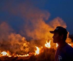 A labourer stares at a fire that spread to the farm he work on next to a highway in Nova Santa Helena municipality in northern Mato Grosso State, south in the Amazon basin in Brazil, on August 23, 2019. - Official figures show 78,383 forest fires have been recorded in Brazil this year, the highest number of any year since 2013. Experts say the clearing of land during the months-long dry season to make way for crops or grazing has aggravated the problem. More than half of the fires are in the Amazon. (Photo by Joao LAET / AFP)