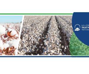 Cotswold Industries es un orgulloso miembro del U.S. Cotton Trust Protocol®