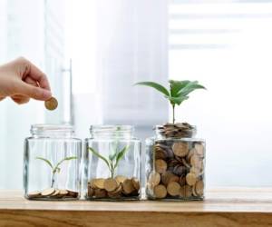 Woman putting coin in the jar with plant.