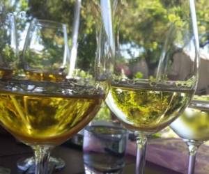 Los mejores vinos se venden por un precio que oscila entre 40 y 250 rands (3-19 euros; 3,2-20 dólares) la botella.