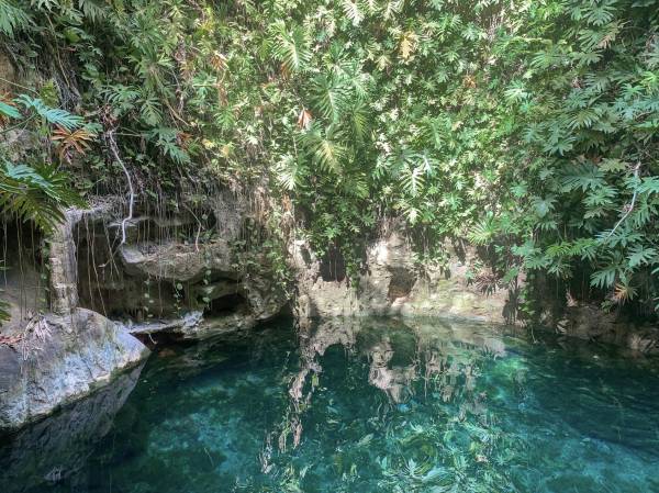 Cenote en Hacienda Mucuyché
