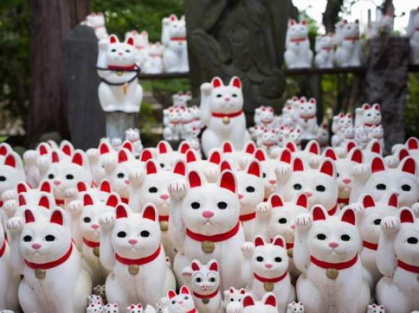 This photo taken on August 6, 2018 shows cat figurines called 'maneki-neko' at the Gotokuji temple in Tokyo.Tokyo's Gotokuji temple has long attracted visitors with its thousands of figurines of beckoning white cats, thought to bring good luck. But of late it has brought in another breed: Instagrammers. The international cat day is celebrated on August 8. / AFP PHOTO / Martin BUREAU